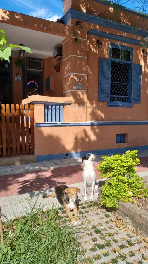 Hostel El Caminito Lgbtqiapn Plus Santos  Bagian luar foto